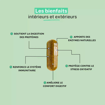 Papaye fermentée extrait