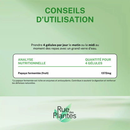 Papaye fermentée extrait