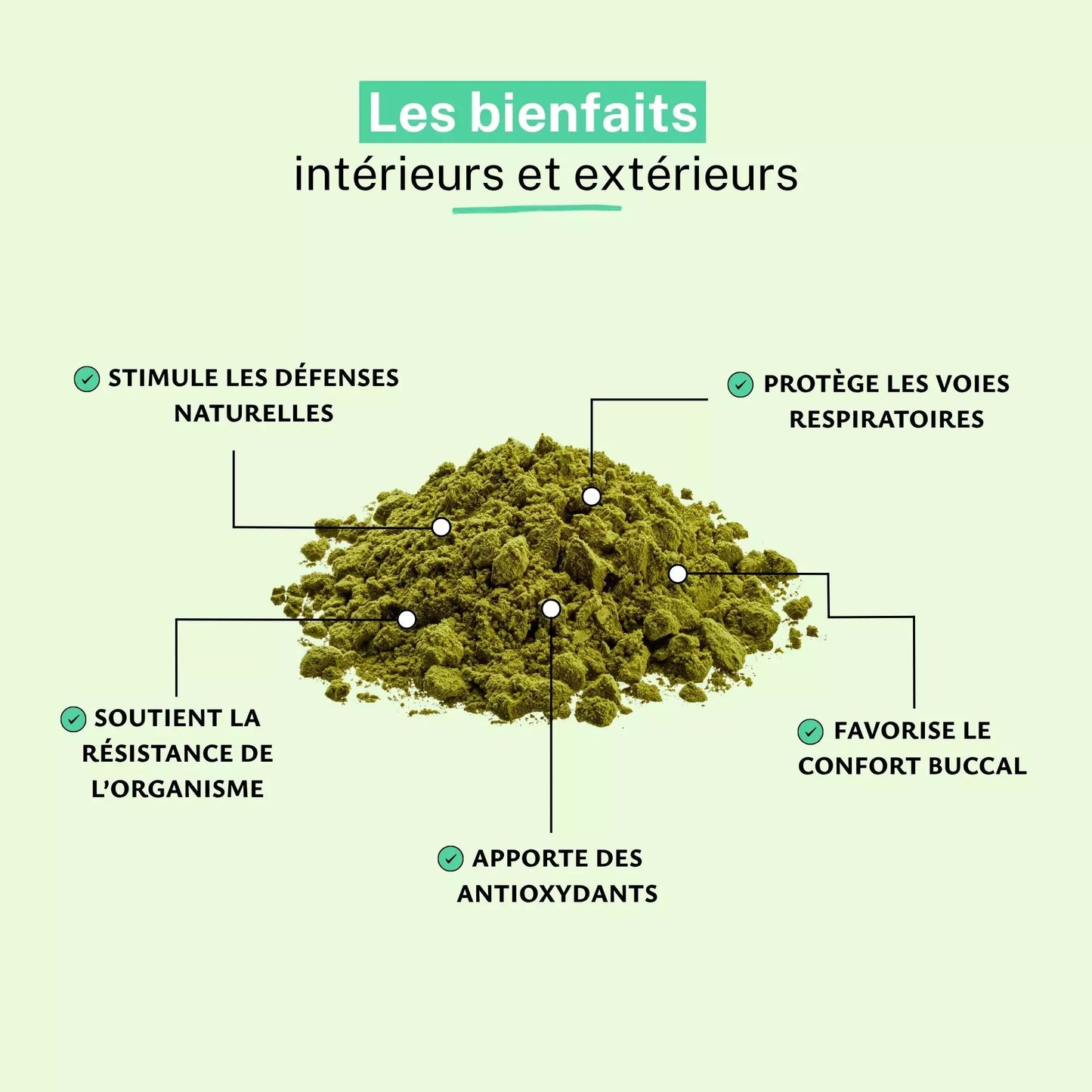 Achat Propolis Bio Extrait 18% Poudre