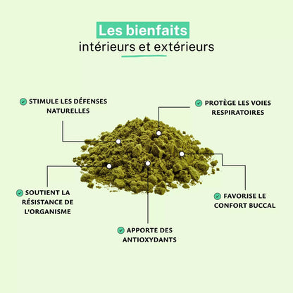 Propolis Bio Extrait 18% Poudre