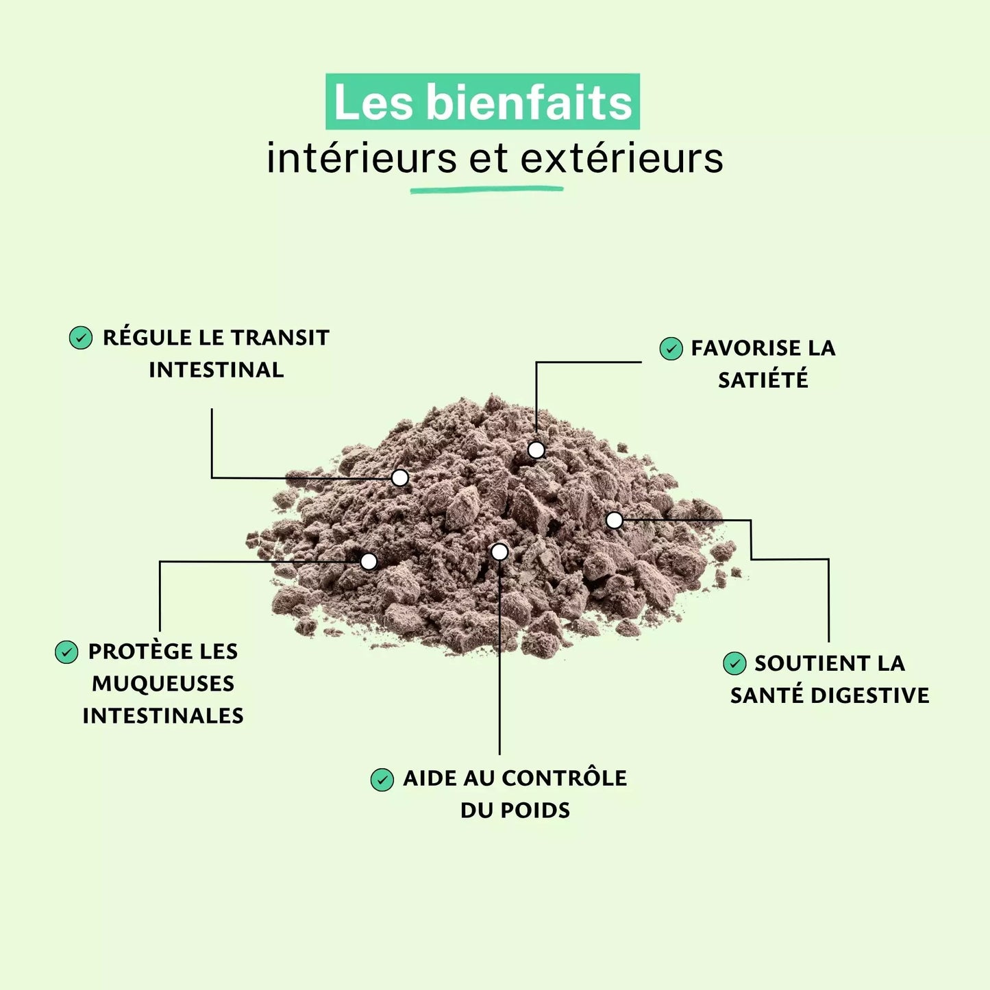 Achat Psyllium Blond Bio Poudre