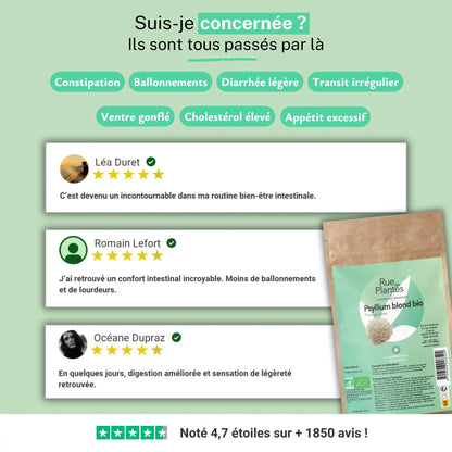 Psyllium Blond Bio Poudre