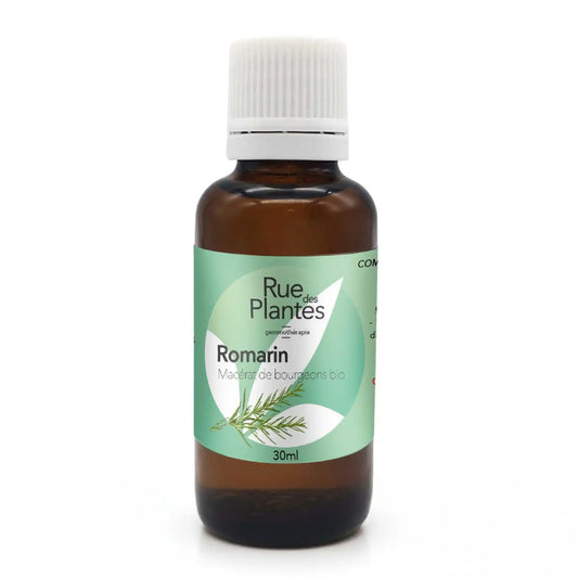 Achat Macérat de bourgeons Romarin Bio - Gemmothérapie