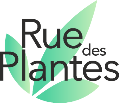 Ruedesplantes